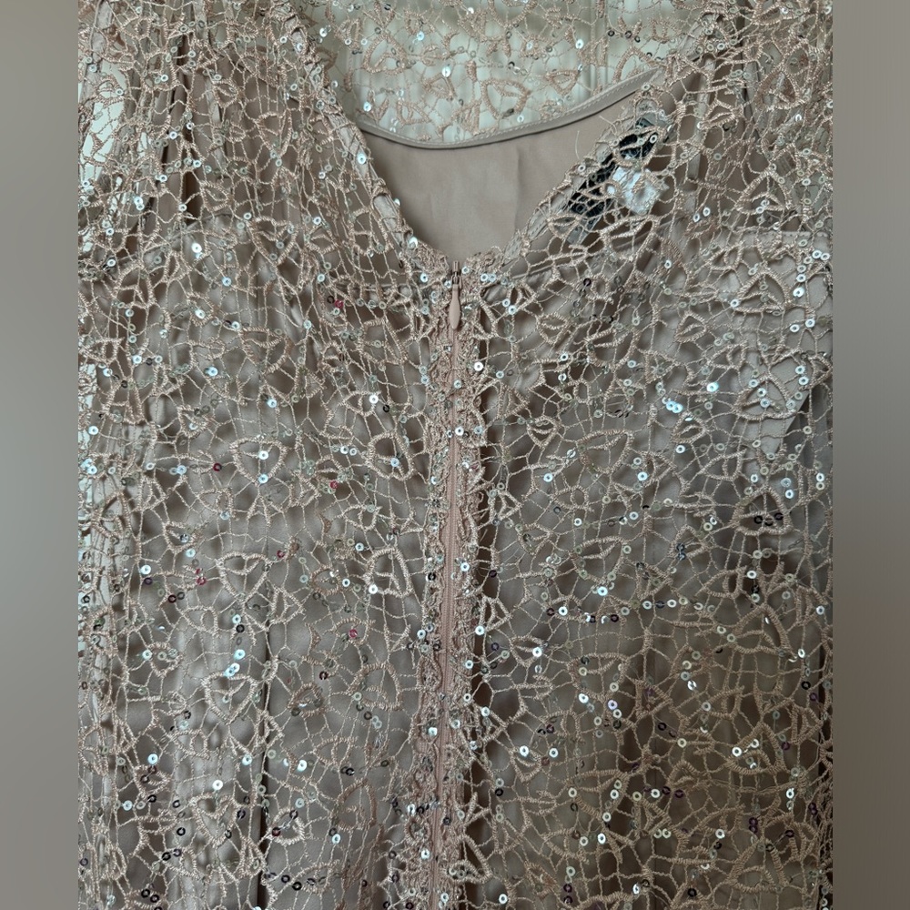 Kay Unger lace sequin pink bisque gown dress brand new with tags! Size 4 - Picture 5 of 10